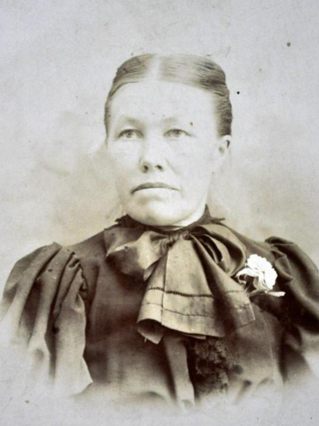 Annie Marie Larsen (1851 - 1901) Profile